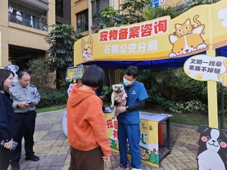 文明实践集中活动日｜宠爱东莞有条有礼——石碣这场文明墟市为小区提供一站式便民服务