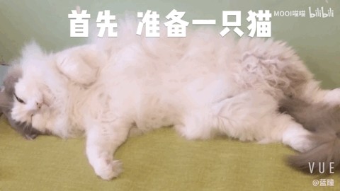 冬天到了猫主子可以用来暖脚脚啦！