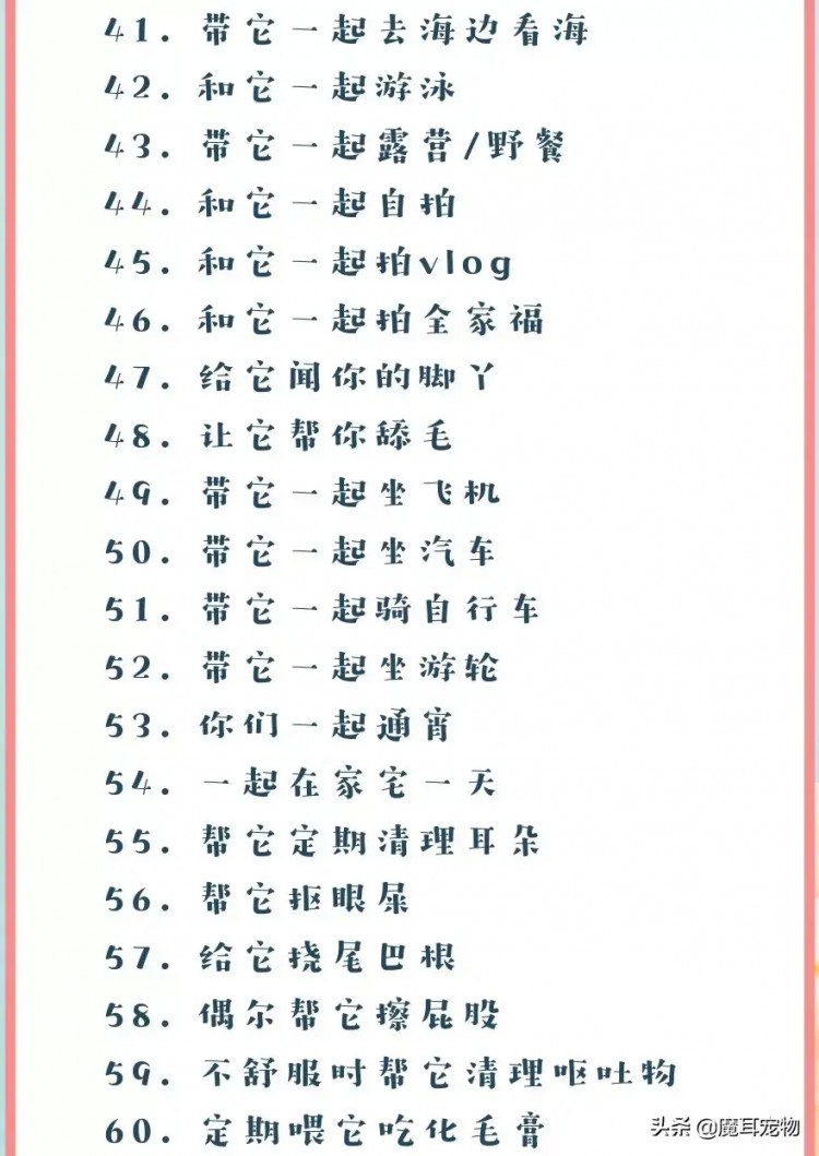 从宠物出生开始我们能为它们做的100件小事